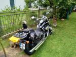 Klikněte pro detailní foto č. 2 - Suzuki Intruder M 800
