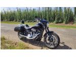 Klikněte pro detailní foto č. 1 - Harley-Davidson FLSB Softail Sport Glide