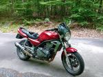 Klikněte pro detailní foto č. 1 - Kawasaki ER-5