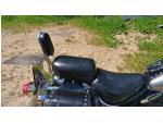 Klikněte pro detailní foto č. 12 - Kawasaki VN 800 Classic