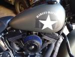 Klikněte pro detailní foto č. 6 - Harley-Davidson FLSTC Heritage Softail Classic