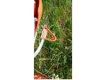 Klikněte pro detailní foto č. 13 - KTM 85 SX