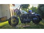 Klikněte pro detailní foto č. 4 - Harley-Davidson XL 1200X Forty-Eight