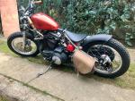 Klikněte pro detailní foto č. 1 - Harley-Davidson Sportster 1200