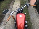 Klikněte pro detailní foto č. 5 - Harley-Davidson Sportster 1200
