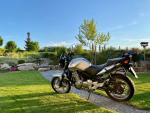 Klikněte pro detailní foto č. 12 - Honda CBF 500