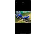 Klikněte pro detailní foto č. 1 - Suzuki SV 650 N