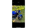 Klikněte pro detailní foto č. 3 - Suzuki SV 650 N