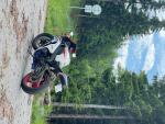 Klikněte pro detailní foto č. 8 - Honda CBR 1000 RR Fireblade