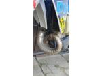 Klikněte pro detailní foto č. 9 - Husqvarna TE 300