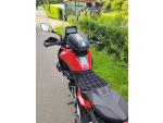 Klikněte pro detailní foto č. 11 - BMW F 900 XR