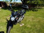 Klikněte pro detailní foto č. 8 - Suzuki SFV 650 Gladius