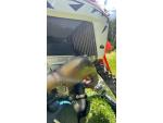 Klikněte pro detailní foto č. 7 - KTM 250 SX-F
