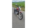 Klikněte pro detailní foto č. 1 - Harley-Davidson Sportster 883