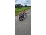 Klikněte pro detailní foto č. 9 - Harley-Davidson Sportster 883