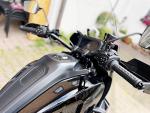 Klikněte pro detailní foto č. 13 - Harley-Davidson Pan America 1250