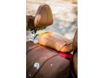 Klikněte pro detailní foto č. 5 - Indian Scout