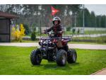 Klikněte pro detailní foto č. 6 - Hecht 56125