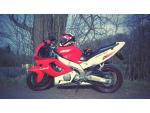 Klikněte pro detailní foto č. 1 - Yamaha YZF 600 R Thundercat