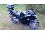 Klikněte pro detailní foto č. 3 - Honda CBR 1100 XX Super Blackbird