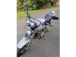 Klikněte pro detailní foto č. 5 - Honda CB 600 F Hornet