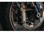 Klikněte pro detailní foto č. 12 - Indian FTR Rally