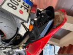 Klikněte pro detailní foto č. 9 - Honda CBR 1000 RR Fireblade