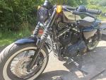Klikněte pro detailní foto č. 4 - Harley-Davidson Sportster 1200 Custom