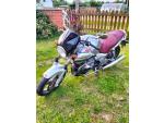 Klikněte pro detailní foto č. 8 - Moto Guzzi Breva 750 IE