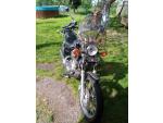 Klikněte pro detailní foto č. 3 - Yamaha XV 535 Virago