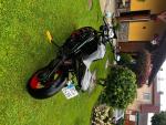 Klikněte pro detailní foto č. 3 - Triumph Speed Triple