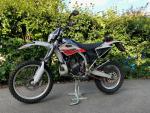 Klikněte pro detailní foto č. 1 - Gas Gas EC 250
