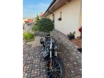 Klikněte pro detailní foto č. 13 - Harley-Davidson FXBR Softail Breakout