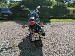 Klikněte pro detailní foto č. 13 - Kawasaki VN 800