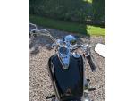 Klikněte pro detailní foto č. 14 - Kawasaki VN 800
