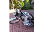 Klikněte pro detailní foto č. 6 - Kawasaki W 800