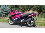 Klikněte pro detailní foto č. 6 - Honda CBR 1000 F