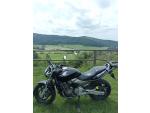 Klikněte pro detailní foto č. 2 - Honda CB 600 F Hornet