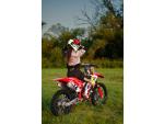 Klikněte pro detailní foto č. 1 - Honda CRF 250 R