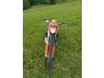 Klikněte pro detailní foto č. 6 - KTM 300 EXC