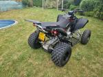 Klikněte pro detailní foto č. 6 - Access Motor Tomahawk 400 Limited