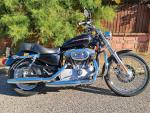 Detail nabídky - Harley-Davidson XL 883 C Sportster Custom