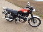 Klikněte pro detailní foto č. 11 - Triumph Bonneville T 100