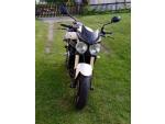 Klikněte pro detailní foto č. 2 - Triumph Speed Triple