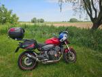 Klikněte pro detailní foto č. 1 - Honda CB 600 F Hornet