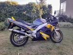 Klikněte pro detailní foto č. 5 - Suzuki RF 900 R