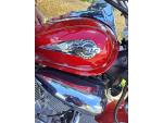 Klikněte pro detailní foto č. 5 - Suzuki VL 125 Intruder