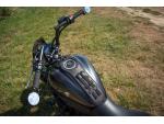 Klikněte pro detailní foto č. 7 - Kawasaki Vulcan S