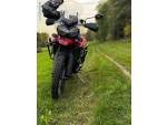 Klikněte pro detailní foto č. 1 - Triumph Tiger 800 XC