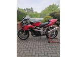 Klikněte pro detailní foto č. 2 - Suzuki TL 1000 S